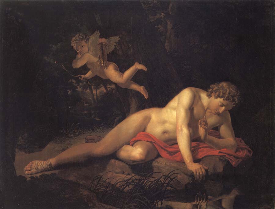 Narcissus